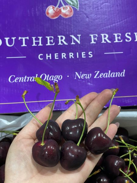 Cherry New Zealand