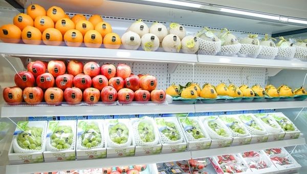 kinh-doanh-trai-cay-nhap-khau