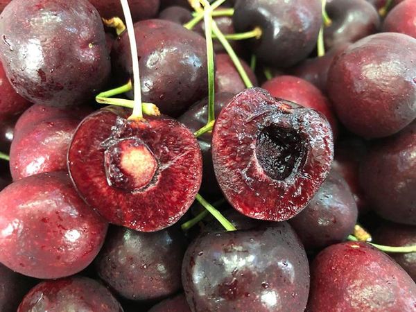 kinh-doanh-trai-cay-nhap-khau