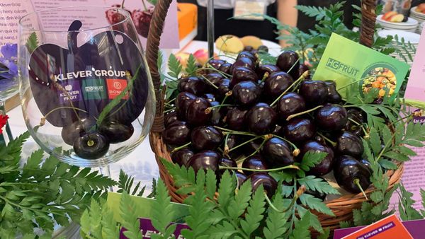 le-ky-niem-quoc khanh-hoa-ky-2025