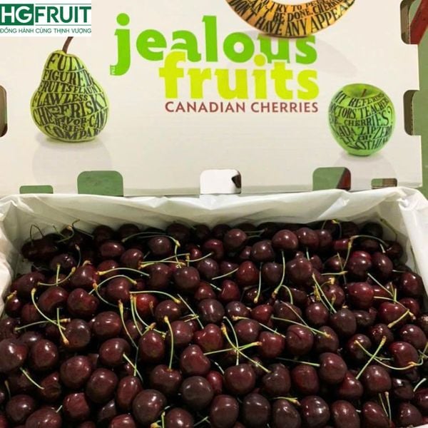Cherry canada