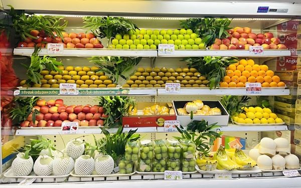 cua-hang-trai-cay-nhap-khau