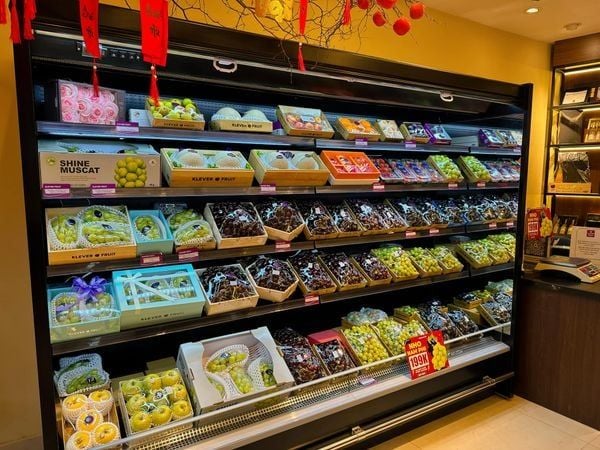 cua-hang-trai-cay-nhap-khau