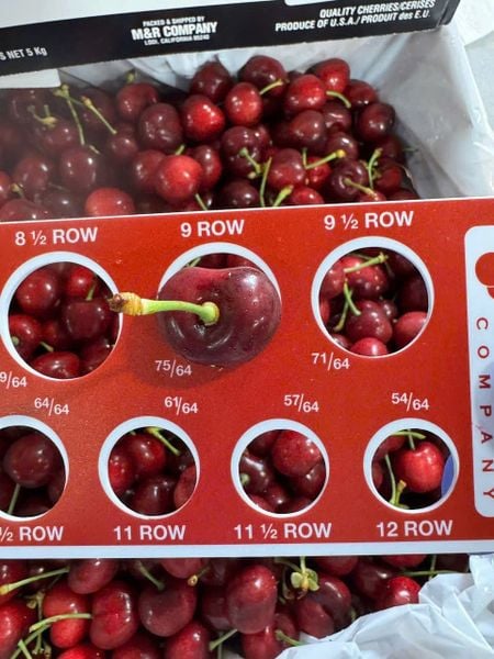cherry-my-california-2025