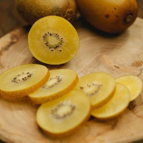 Kiwi Vàng New Zealand