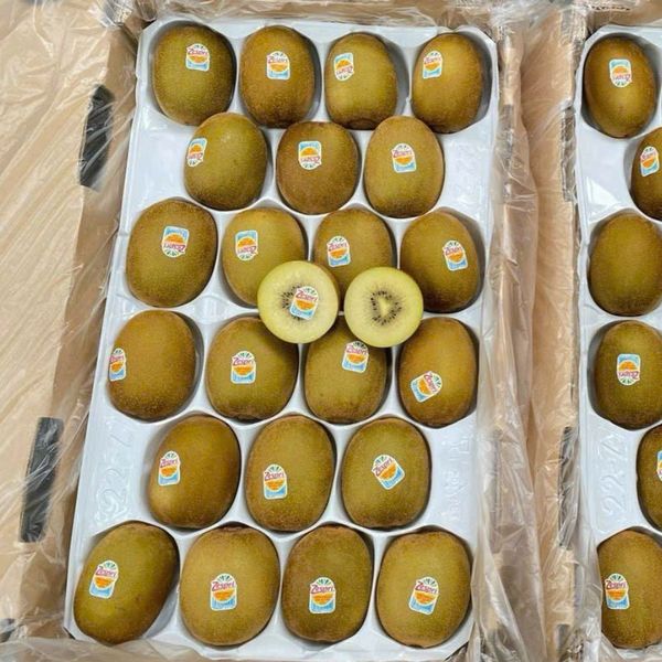 Kiwi Vàng New Zealand