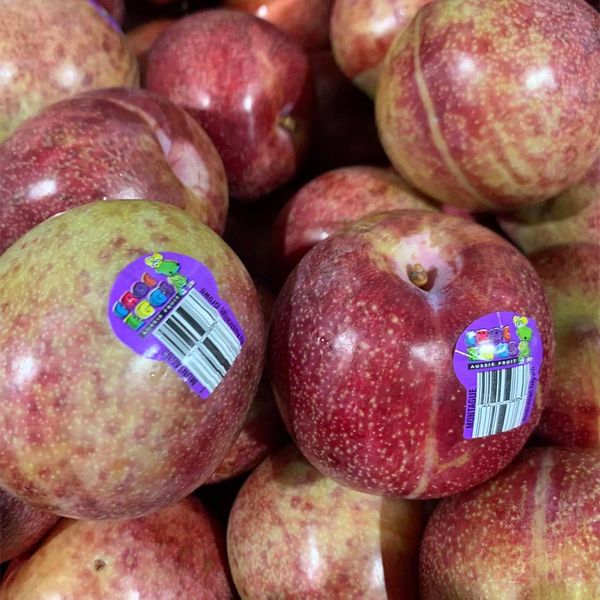 Mận Autumn Honey Úc