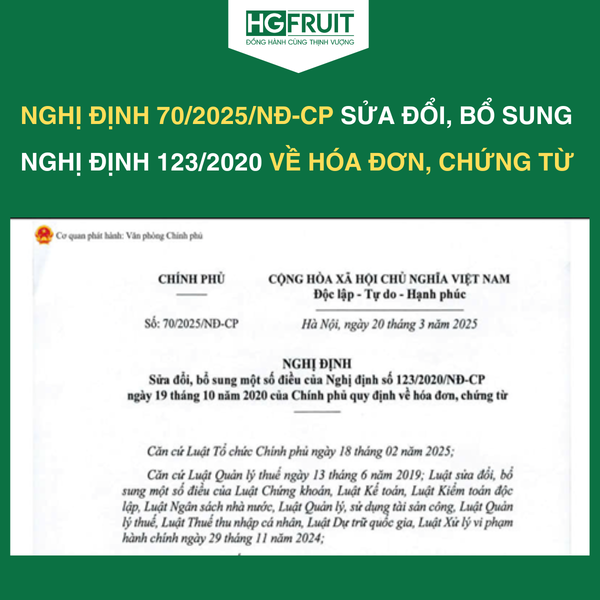 nghi-dinh-70-2025-nd-cp-sua-doi-nghi-dinh-123-2020-nd-cp-ve-hoa-don-chung-tu