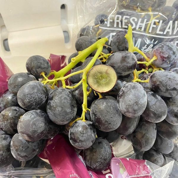 Nho đen không hạt Úc