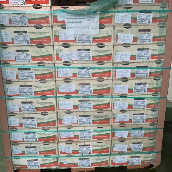 Nho Muscat Beauty Chile