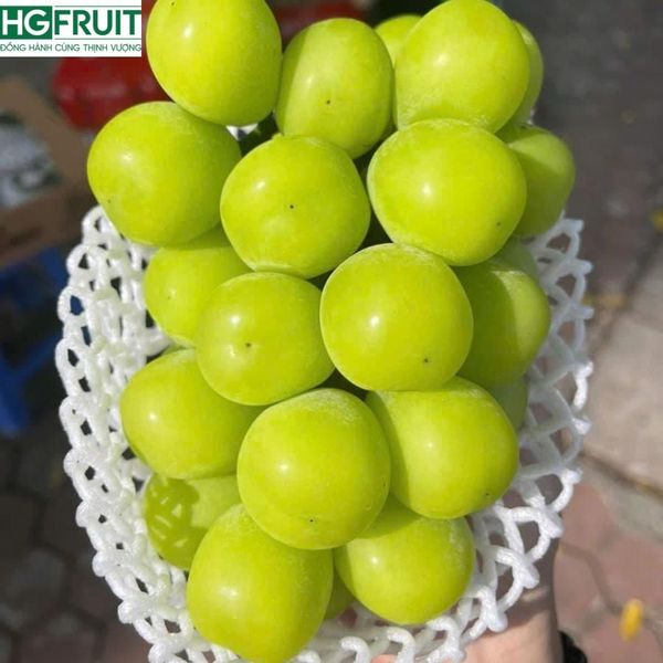 Nho Sữa Hàn Quốc