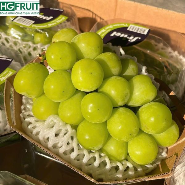 Thùng Nho Sữa Hàn Quốc