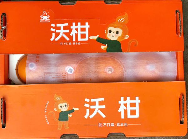 Quýt Orah Nội Địa Trung