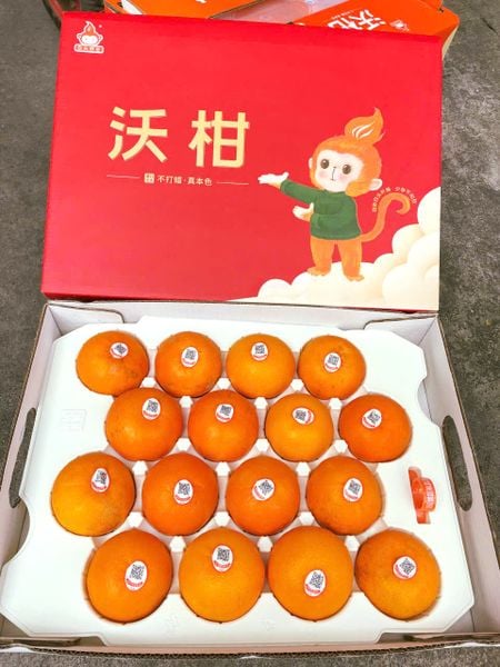 Quýt Orah Nội Địa Trung