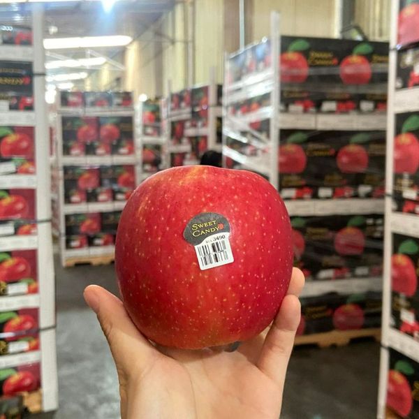 uong-nuoc-ep-tao-co-tac-dung-gi