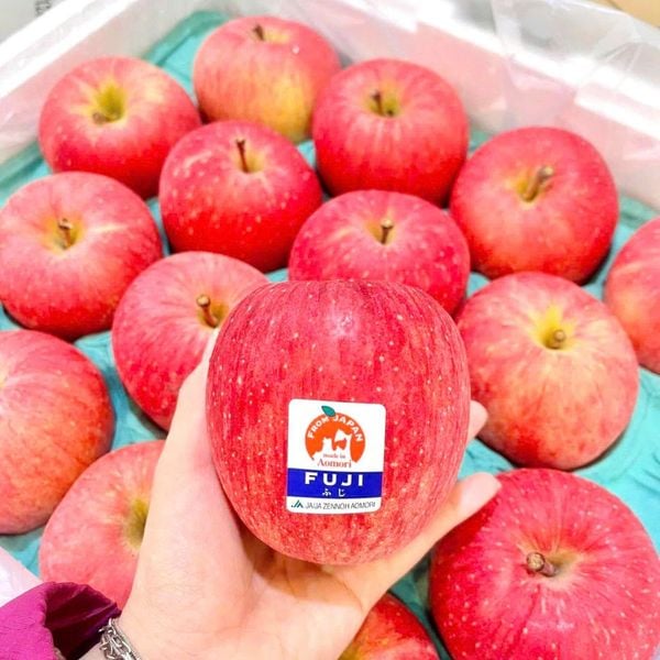 Táo Fuji Nhật Bản – Giống Táo Cao Cấp, Ngọt Giòn, Không Hóa Chất