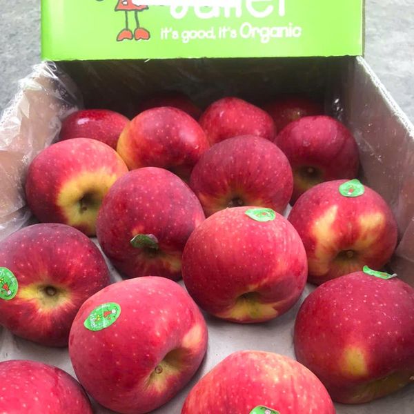 Táo Juliet Organic Pháp