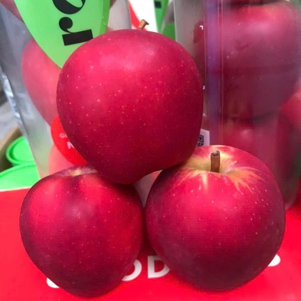 Táo Rockit New Zealand tại Hoàng Giang Fruit
