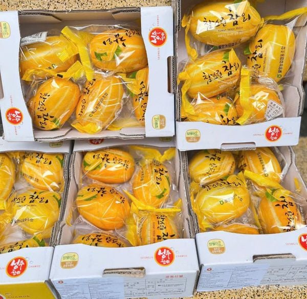 Dưa Lê Hàn Quốc nhập khẩu cao cấp tại Hoàng Giang Fruit