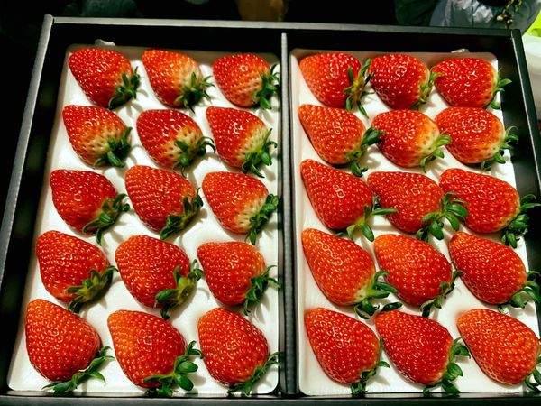 trai-cay-nhieu-vitamin-c-nhat-