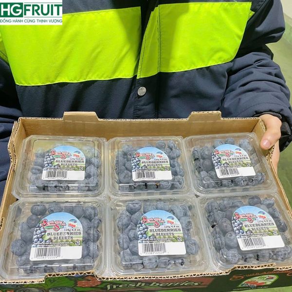 thùng việt quất canada