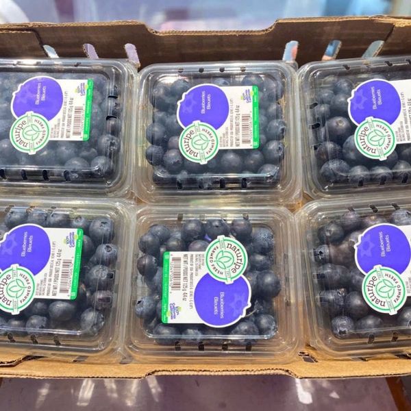 Thùng Việt quất Mỹ