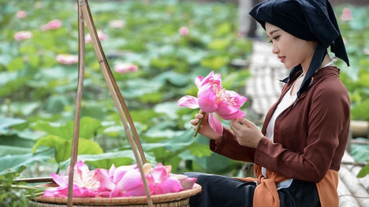 Hình ảnh hoa sen trong văn hóa Việt Nam: Ý nghĩa và biểu tượng sâu sắc