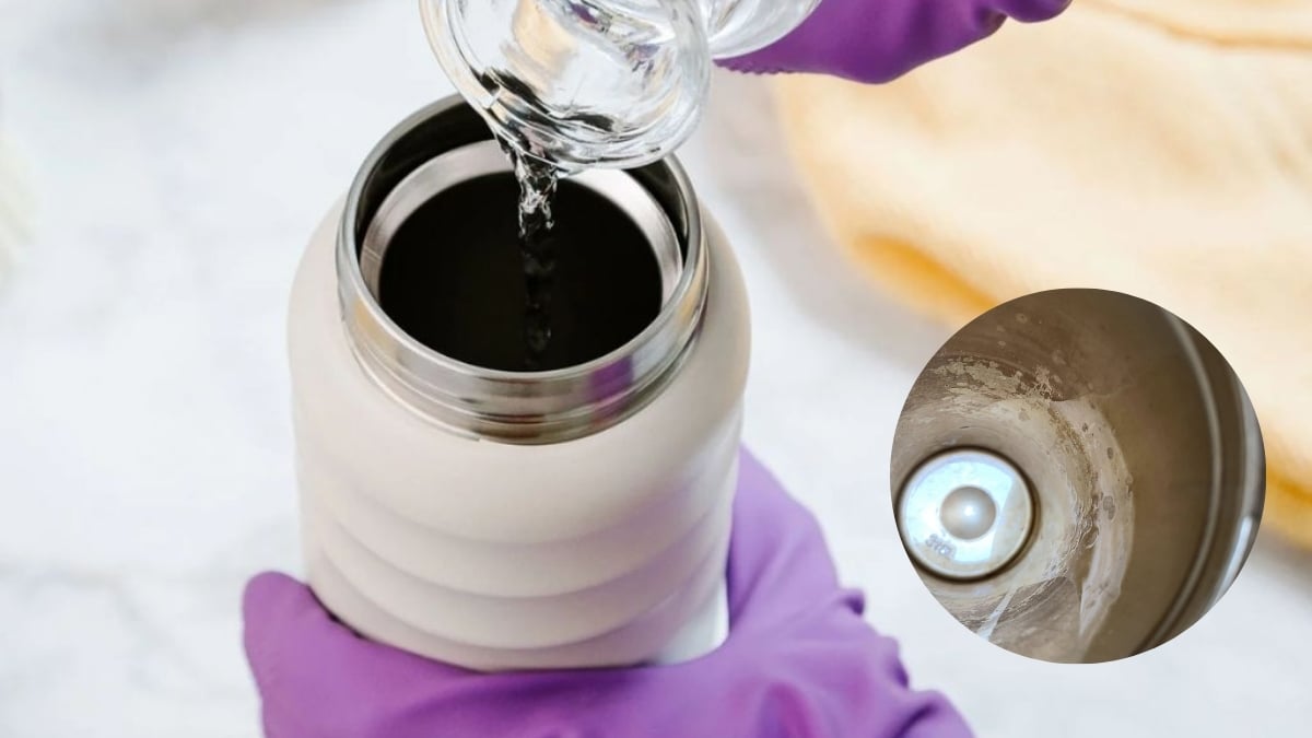 7 cách vệ sinh bình giữ nhiệt bị ố vàng đơn giản tại nhà – Jadify