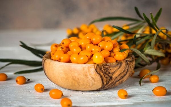 Hắc mai biển (Sea Buckthorn) - bí quyết chống lão hóa cho làn da của bạn