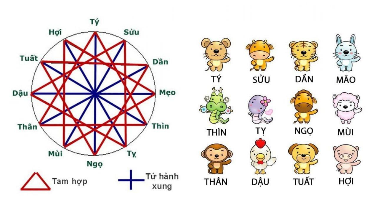 Những Lợi Ích Khi Hiểu Rõ Các Cặp Giáp Tam Hợp