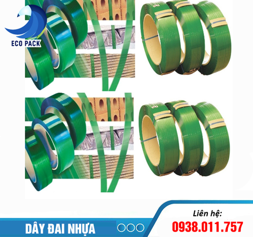 Dây đai pet - Giải pháp an toàn và tiện lợi cho thú cưng của bạn