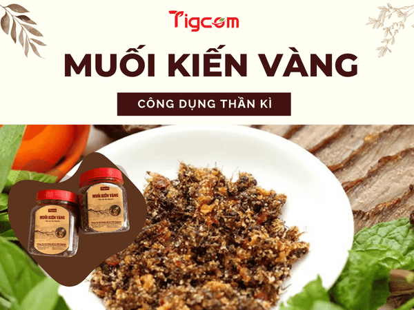 Công dụng thần kỳ của muối kiến vàng bạn nên biết