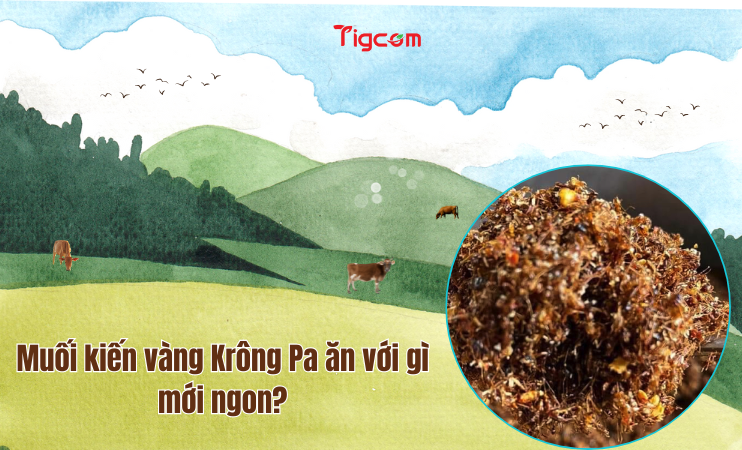 Muối kiến vàng Krông Pa ăn với gì mới ngon?