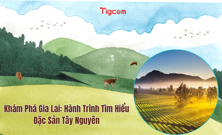 Khám Phá Gia Lai: Hành Trình Tìm Hiểu Đặc Sản Tây Nguyên