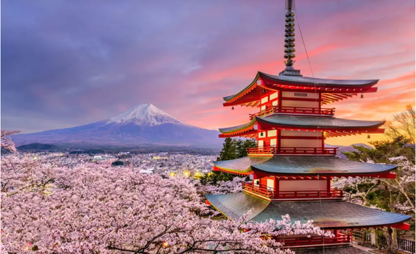 Giáo viên và phụ huynh chuẩn bị bốc thăm trúng tour du lịch Nhật Bản 50 triệu