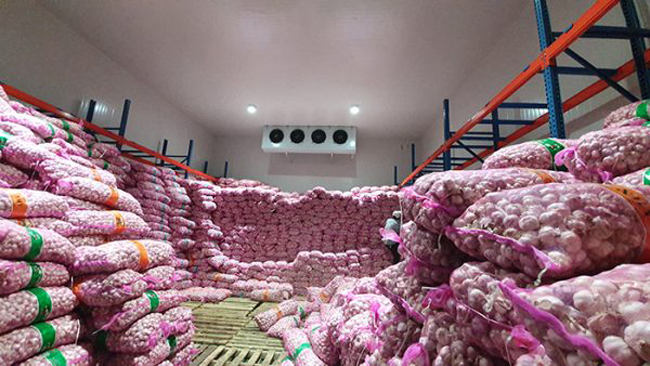 KHO LẠNH BẢO QUẢN NÔNG SẢN