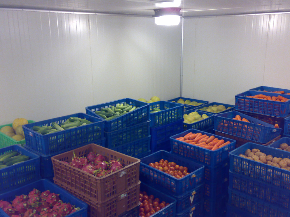 KHO LẠNH BẢO QUẢN RAU CỦ