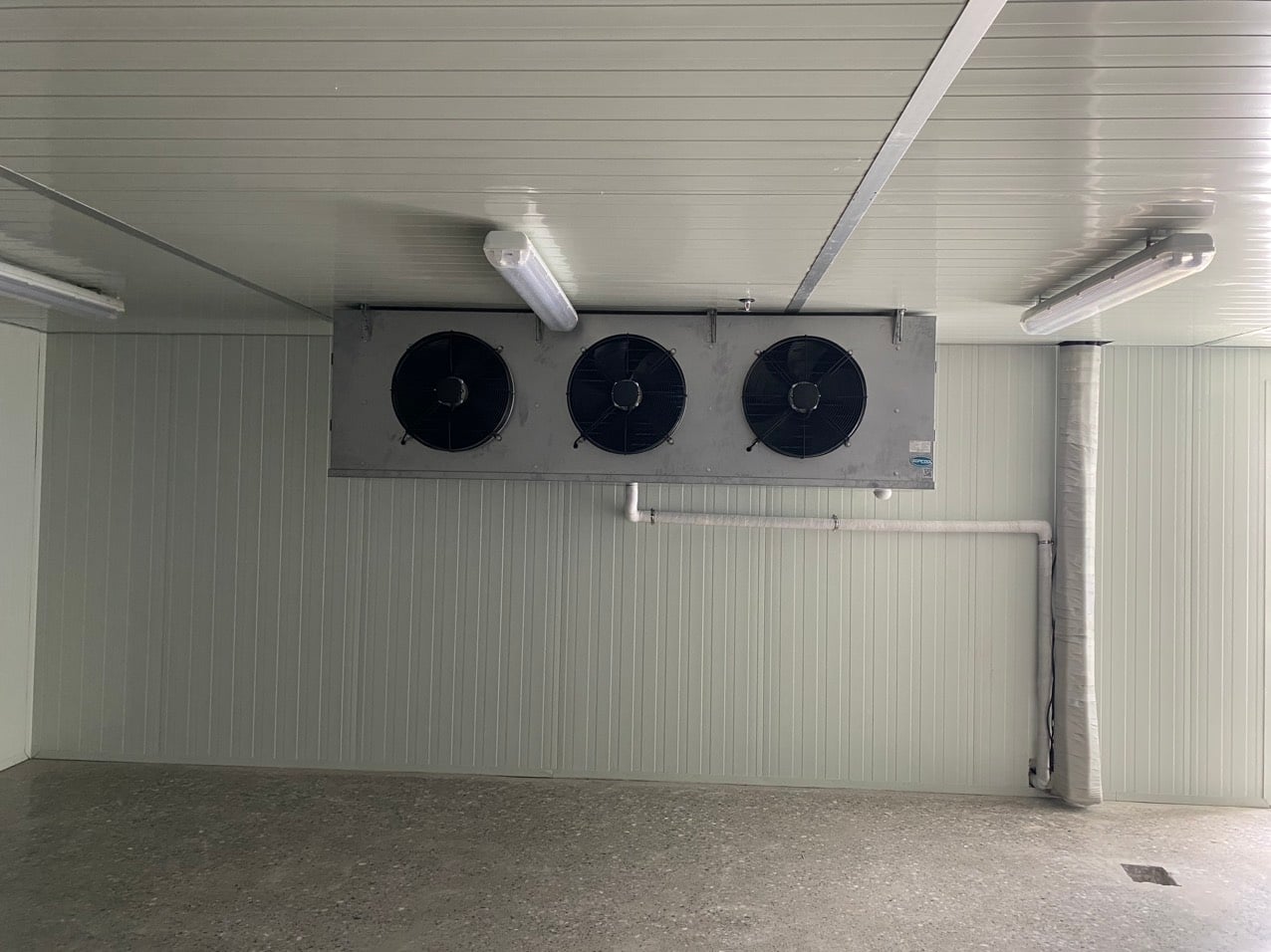 Yêu cầu của kho lạnh thuỷ sản