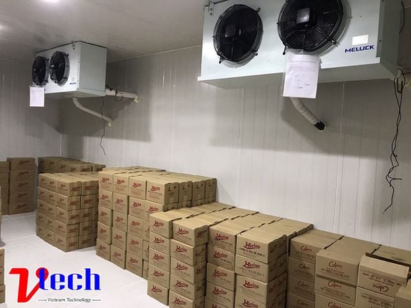 Lắp Đặt Kho Lạnh Bảo Quản Kem Chuyên Nghiệp An Toàn