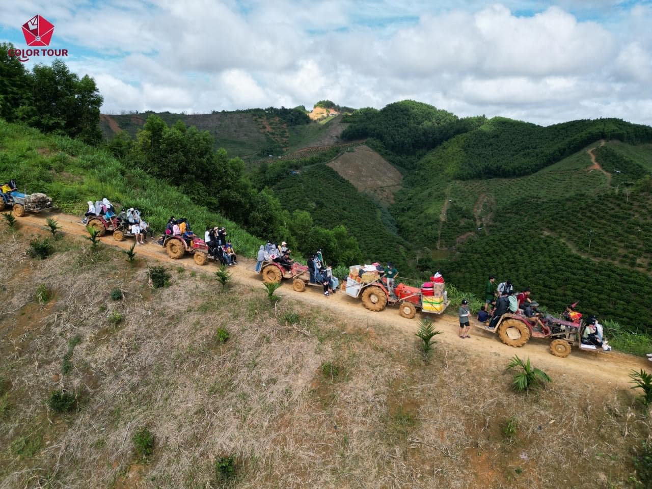 BÔNG HOA TÂY NGUYÊN