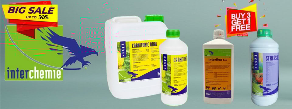 Thuốc thủy sản nhập khẩu Hà Lan