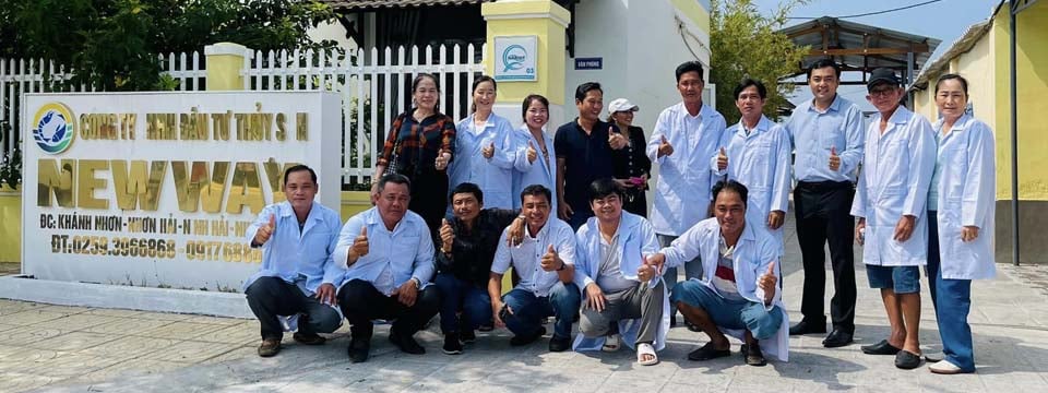 Tôm giống Newway