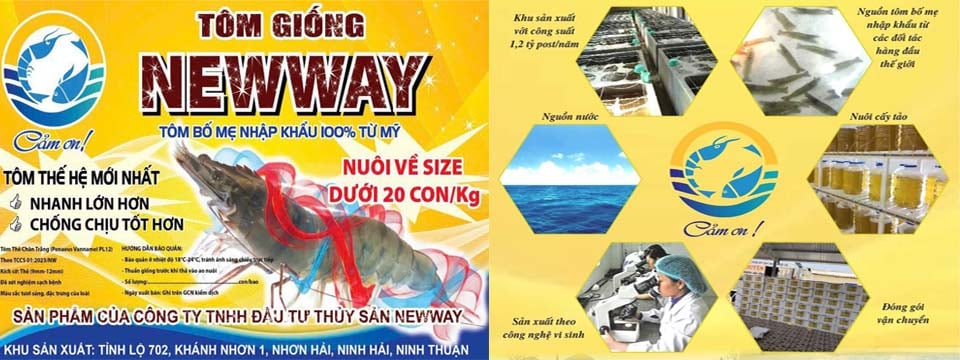 Tôm giống Newway