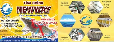 Banner Tôm giống Newway