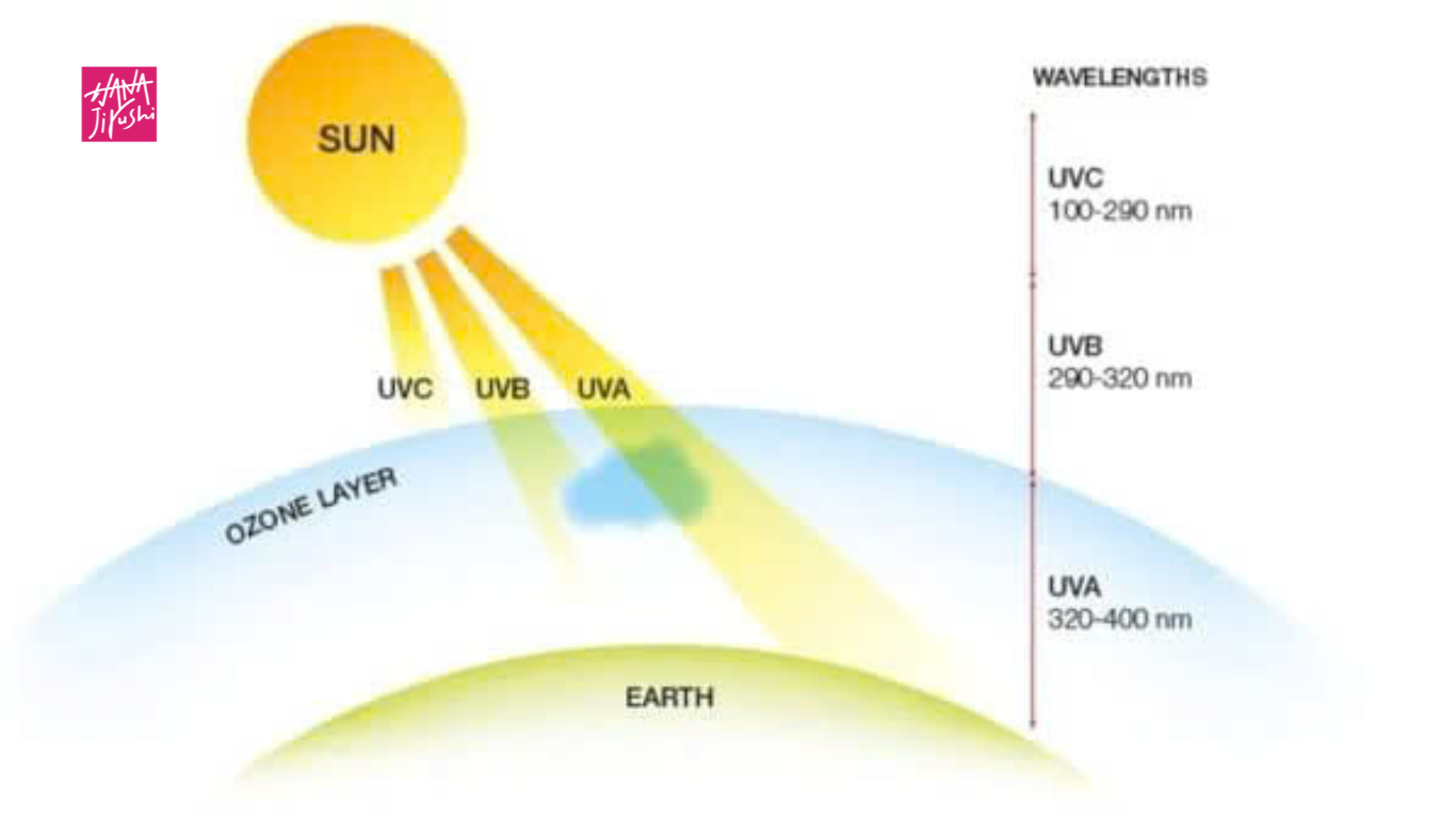 Tia UV là gì? Phân biệt các loại tia UVA, UVB và UVC