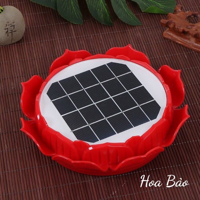 Sản phẩm mới 2024