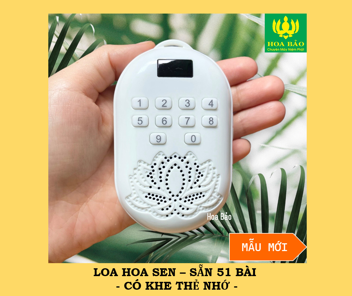 Pháp bảo nổi bật