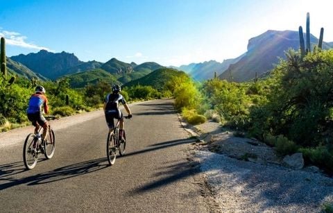 Hướng dẫn chọn xe đạp đường trường (road bike) cho người mới bắt đầu