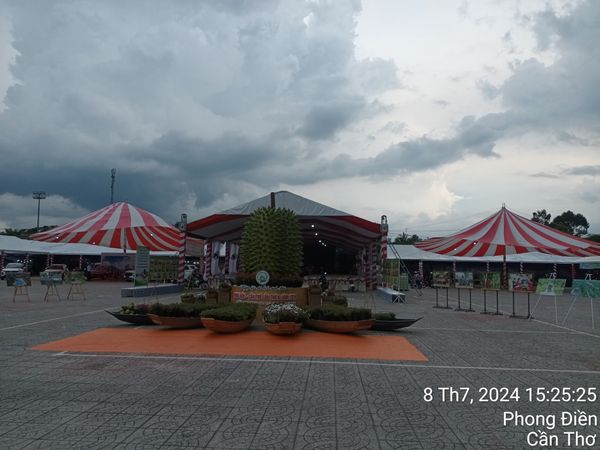 Ngày hội Du lịch Sinh thái Phong Điền - Cần Thơ