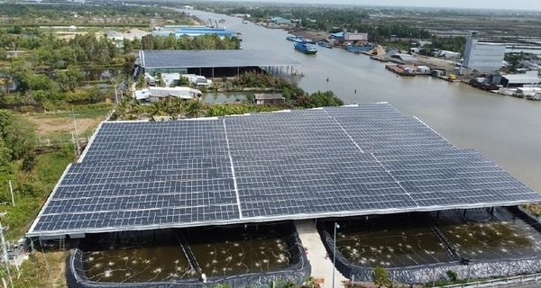 Điện mặt trời trong nông nghiệp: Tiềm năng nhưng... còn bỏ ngỏ